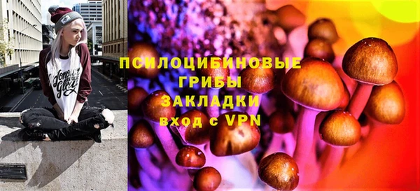 мет Богданович