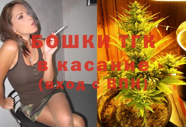 мдпв Богородск