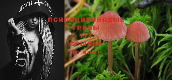мет Богданович
