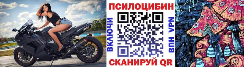 Псилоцибиновые грибы Magic Shrooms  Вяземский 