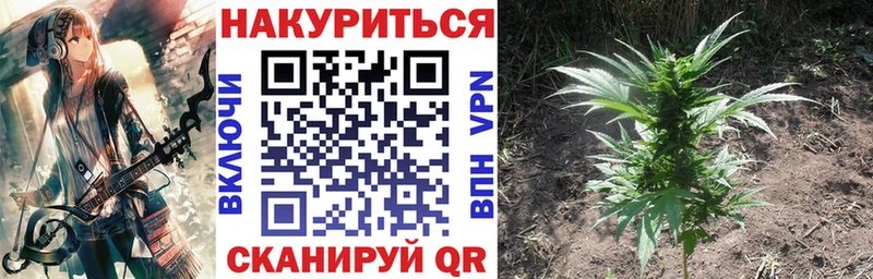 Шишки марихуана план Вяземский